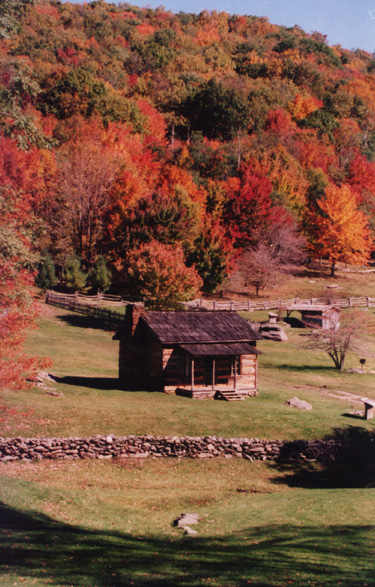 graysoncountycabin